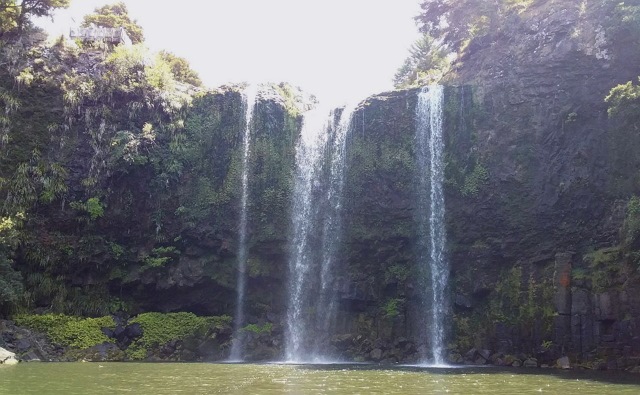 Whangarei Falls