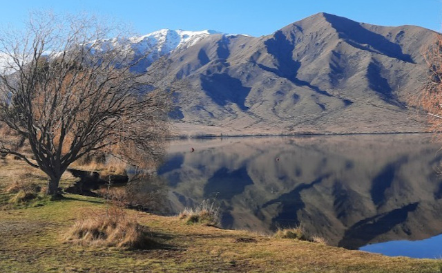 photo11wanaka