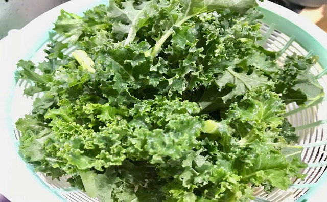 Curly Kale