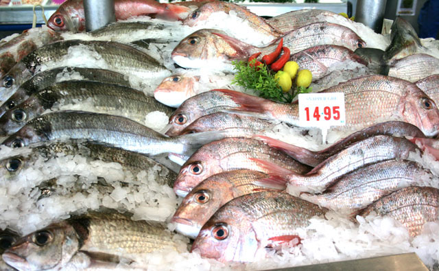 ニュージーランドでも魚料理を作ろう！