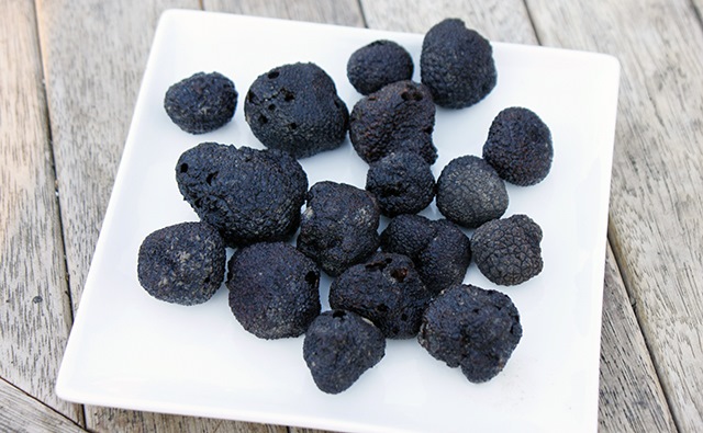 truffle02