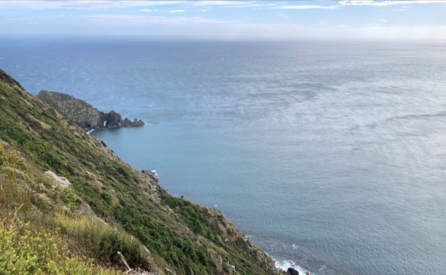 view10