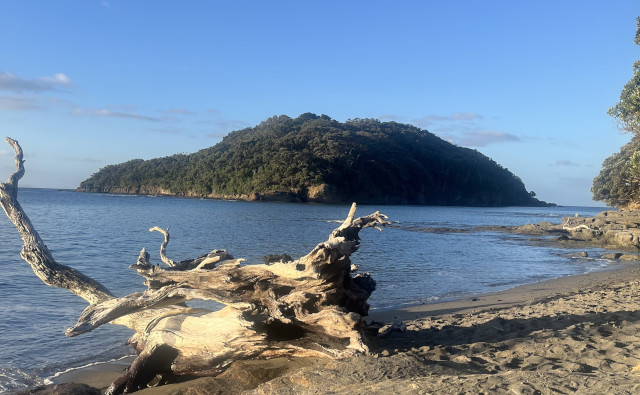 Goat Island