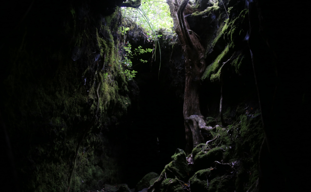rangitoto3