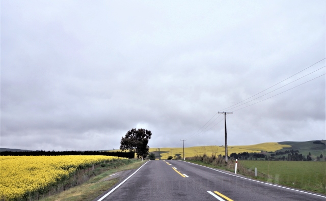 photo-3
