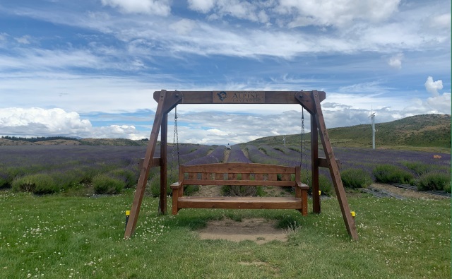 photo-9