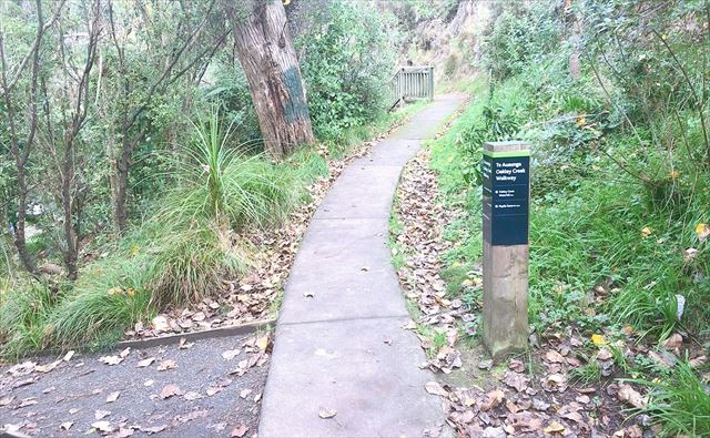 photo-2