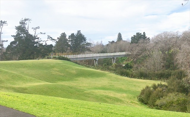 photo-5