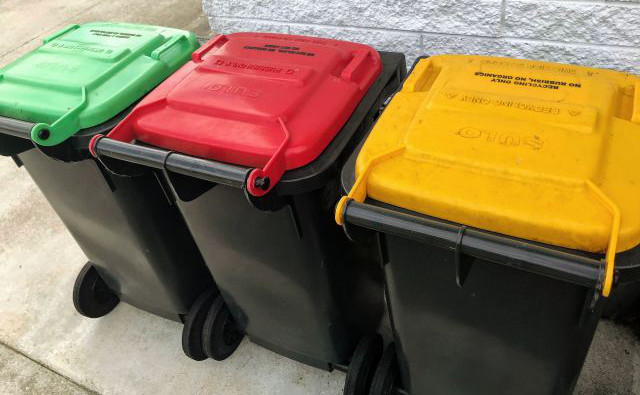 rubbish bin1