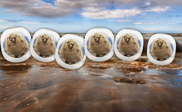 5