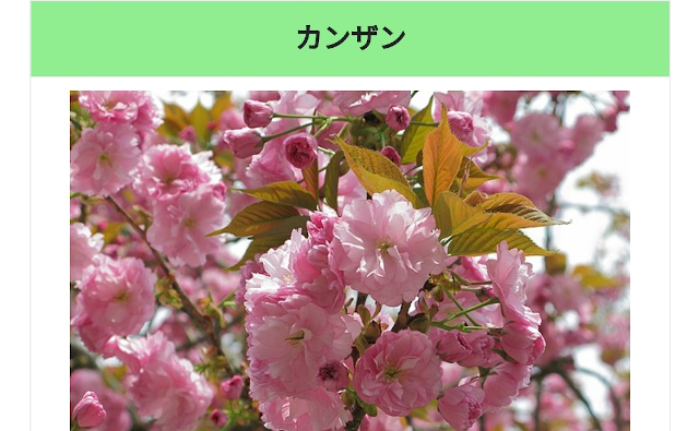 Photo5
