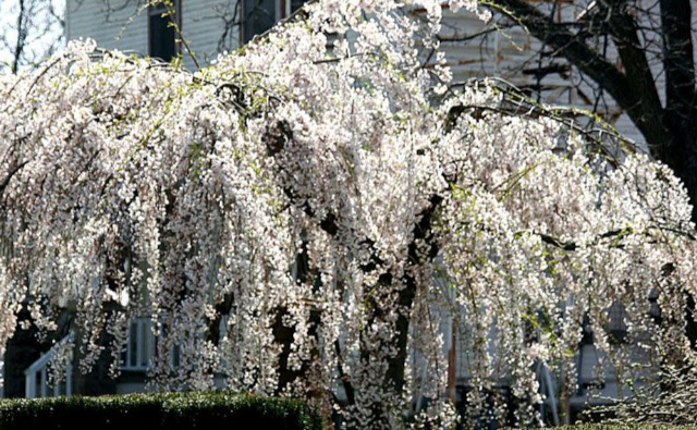 photo9
