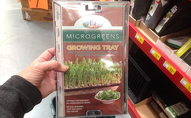 Microgreen Tray