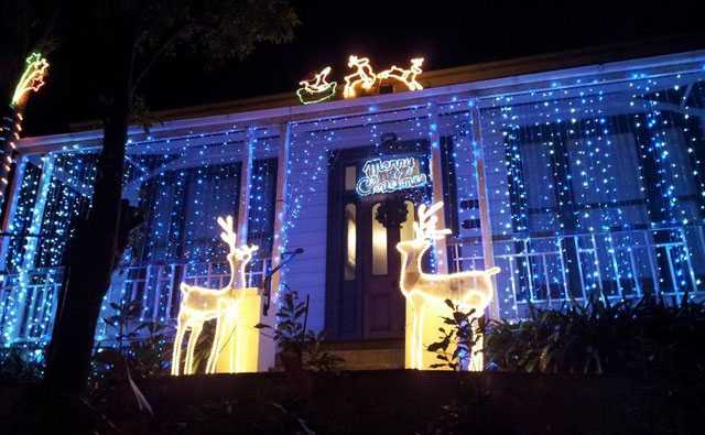 オークランドで光り輝くクリスマスイルミネーションを鑑賞しよう！