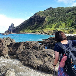 ひまわり