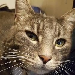 LittleMy