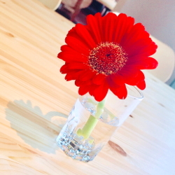 maimaru